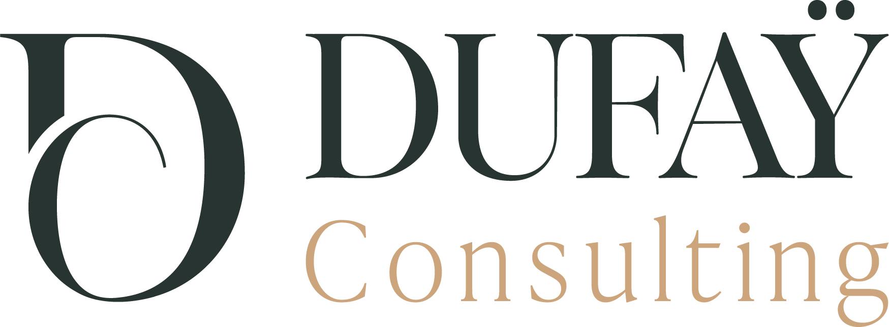 Dufaÿ Consulting